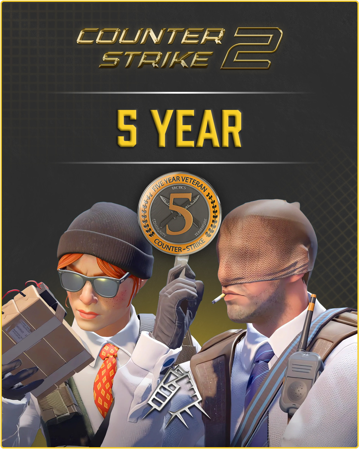 CS2 Account + 5 Year Veteran Coin + 500 Commends + 50 Comments