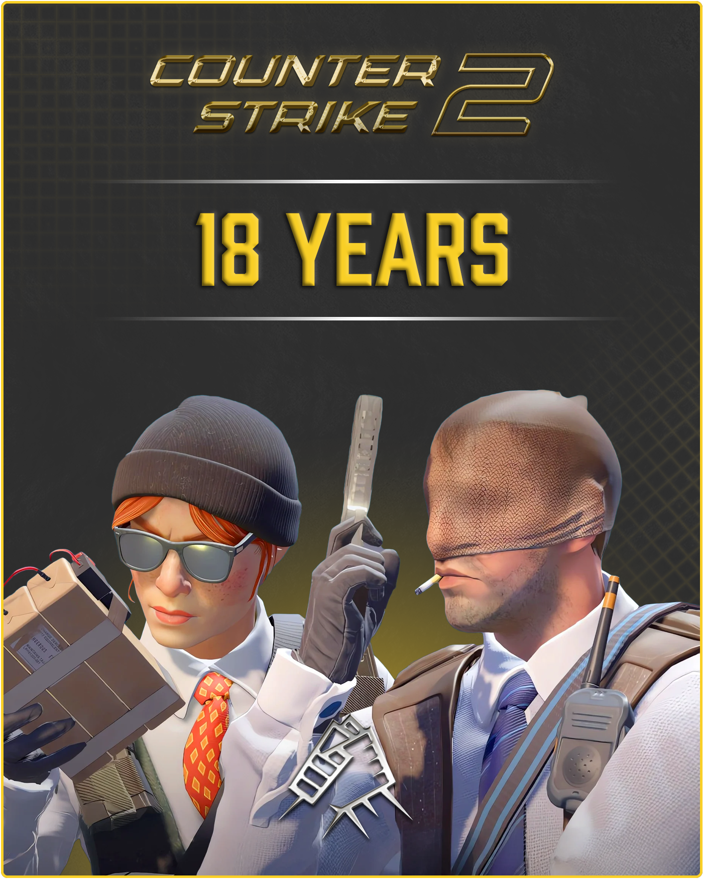CS2 Account (17-18 Years old) with 10 Years Veteran Coin in CS2