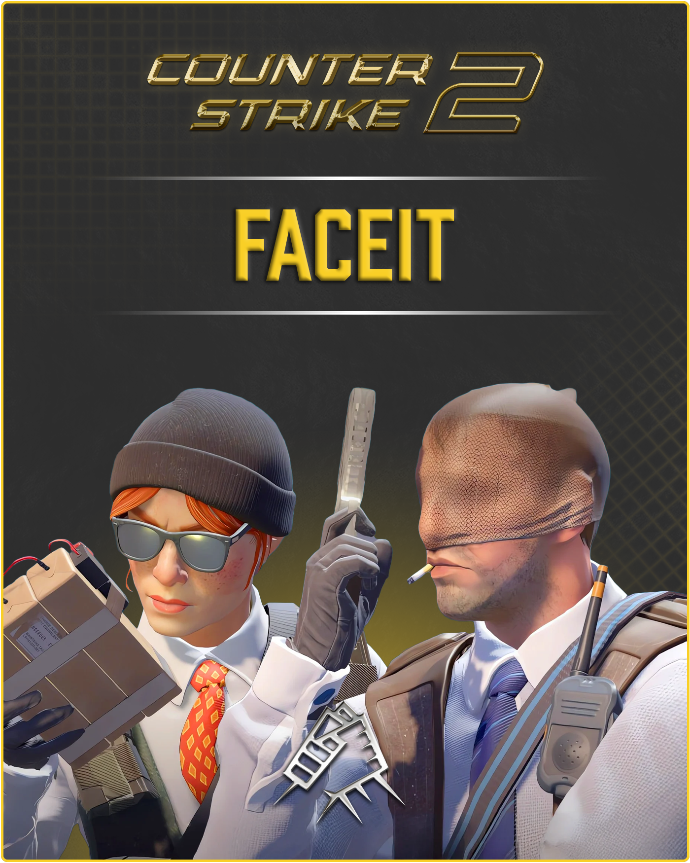 CS2 Account + FaceIT Ready + Hourboosted in CS2 + Full Access