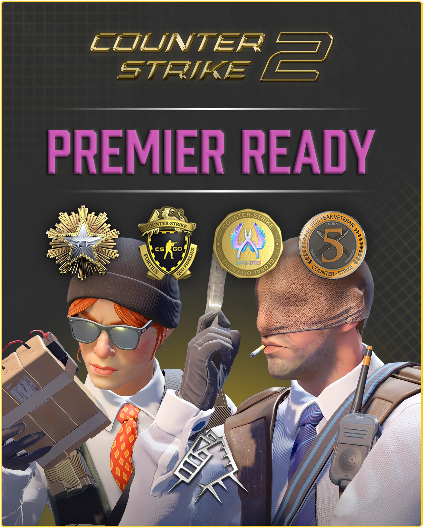 CS2 Prime Account + Premier Ready + 3 Medals + 2016 Service Medal 500 Commends + 50 Comments + Hourboosted