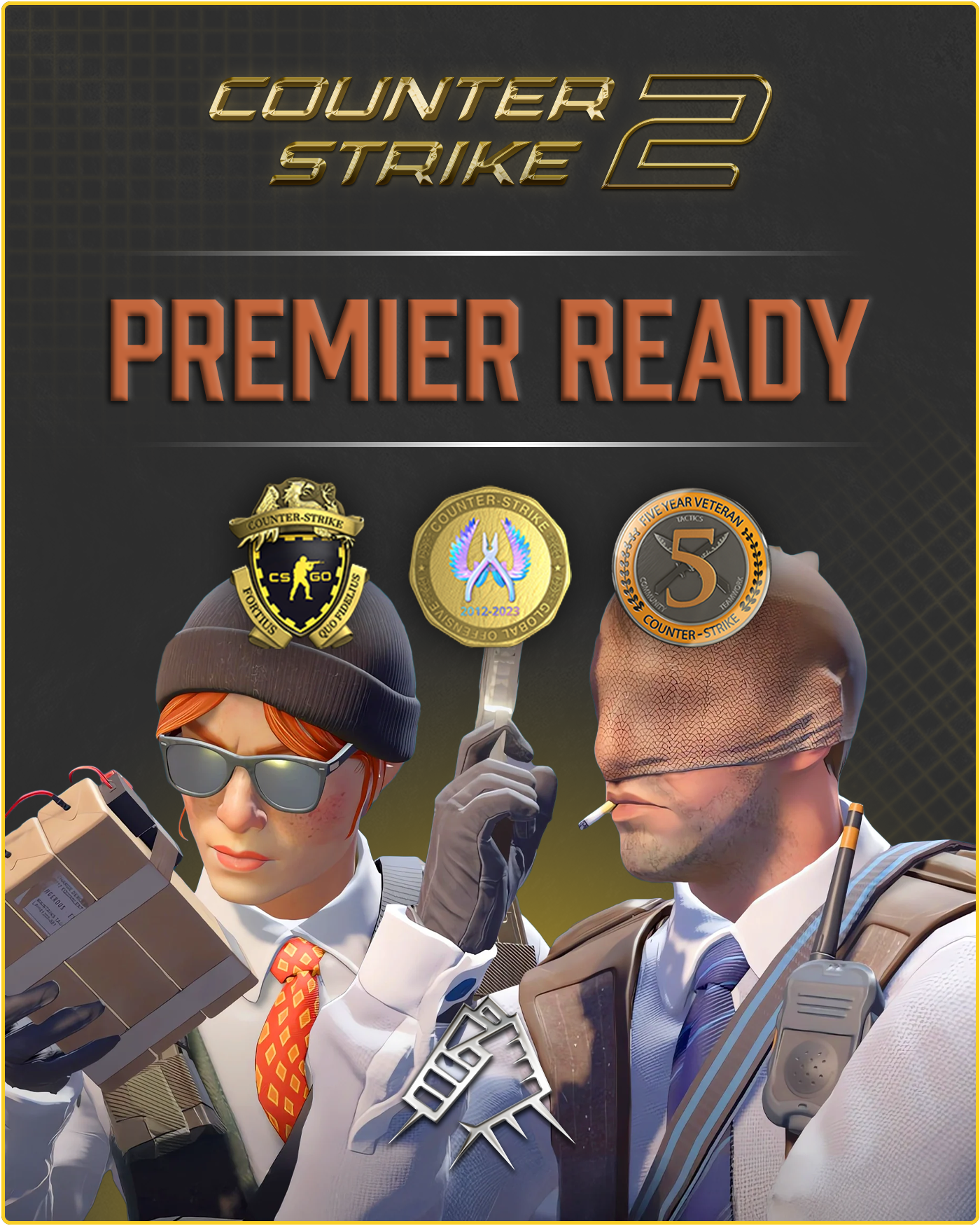 CS2 Prime Account + Premier Ready +  3 Medals + 500 Commends + 50 Comments
