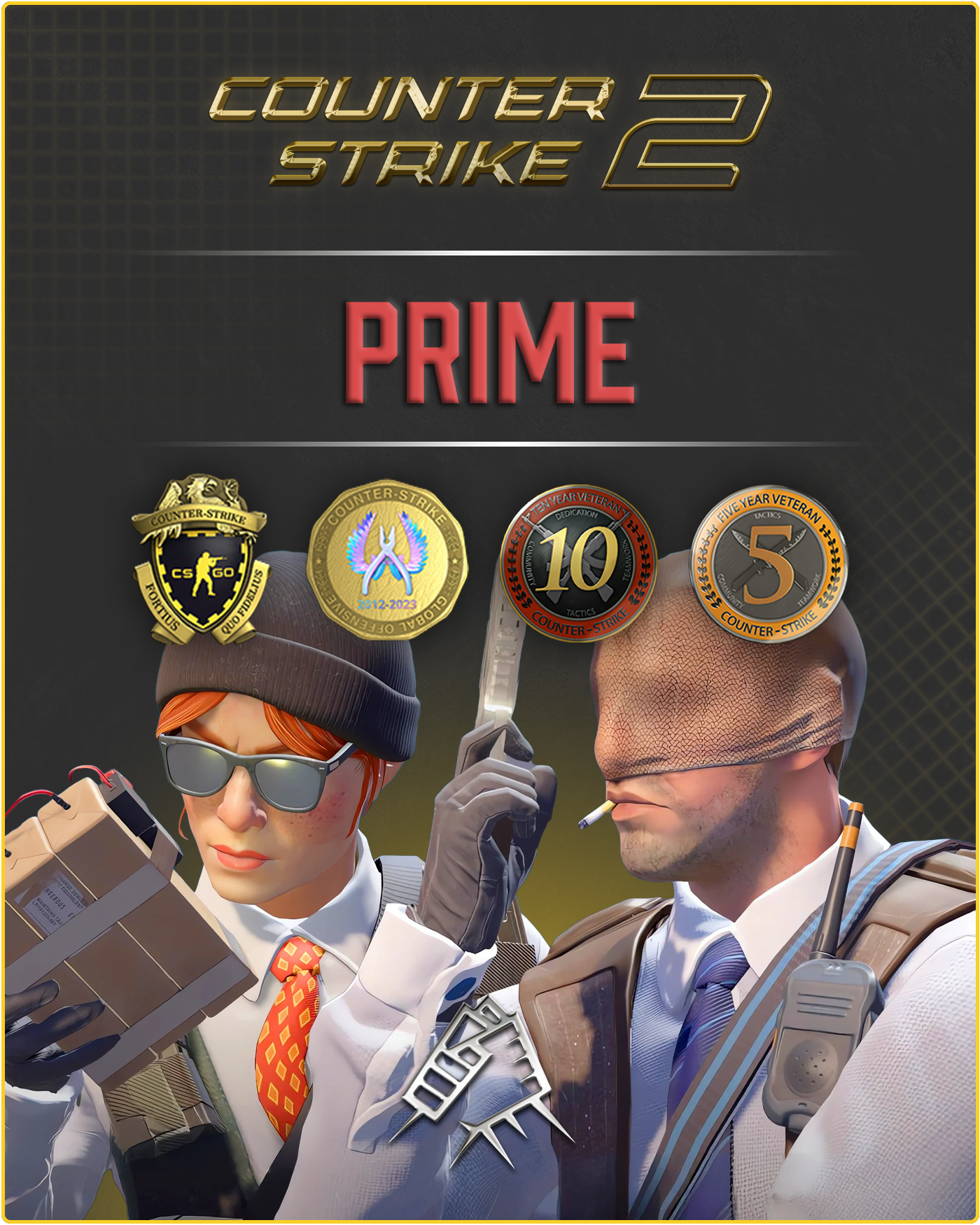 CS2 Prime Account + 4 Medals + 500 Commends + 50 Comments + Hourboost Sub