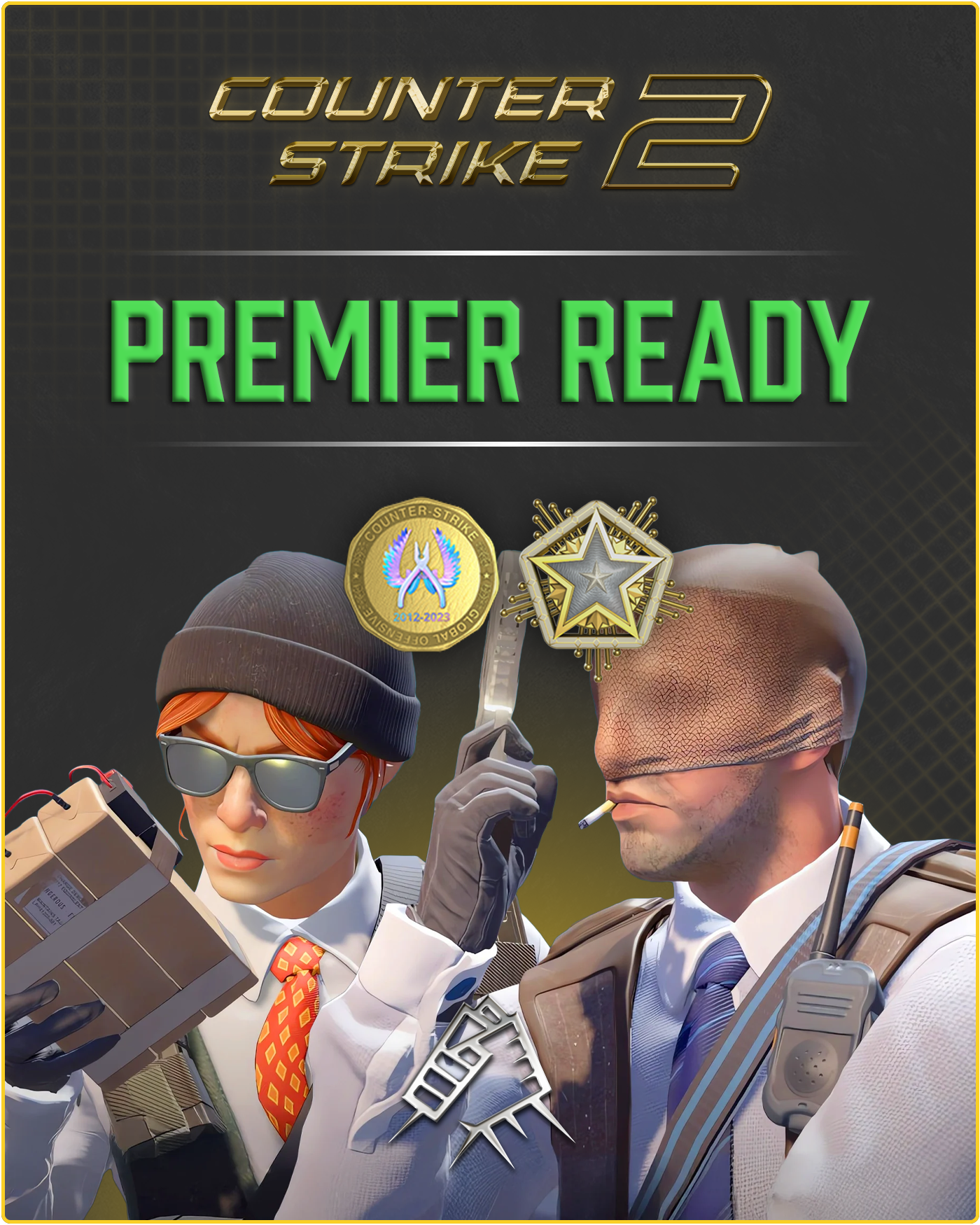 CS2 Prime Account + Premier Ready + 2024 Service Medal + Global Offensive Badge + 500 Commends + 50 Comments + Hourboosted