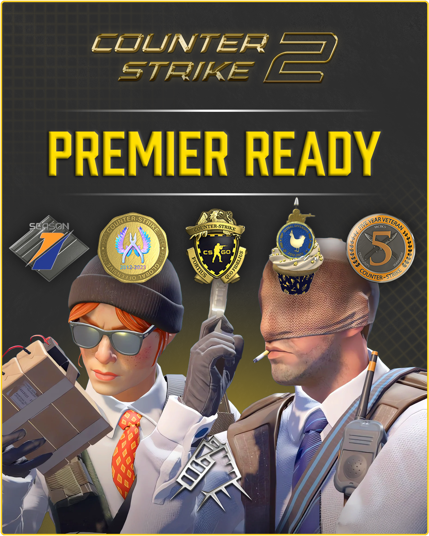 CS2 Prime Account + Premier Ready + 5 Medals + 500 Commends + 50 Comments