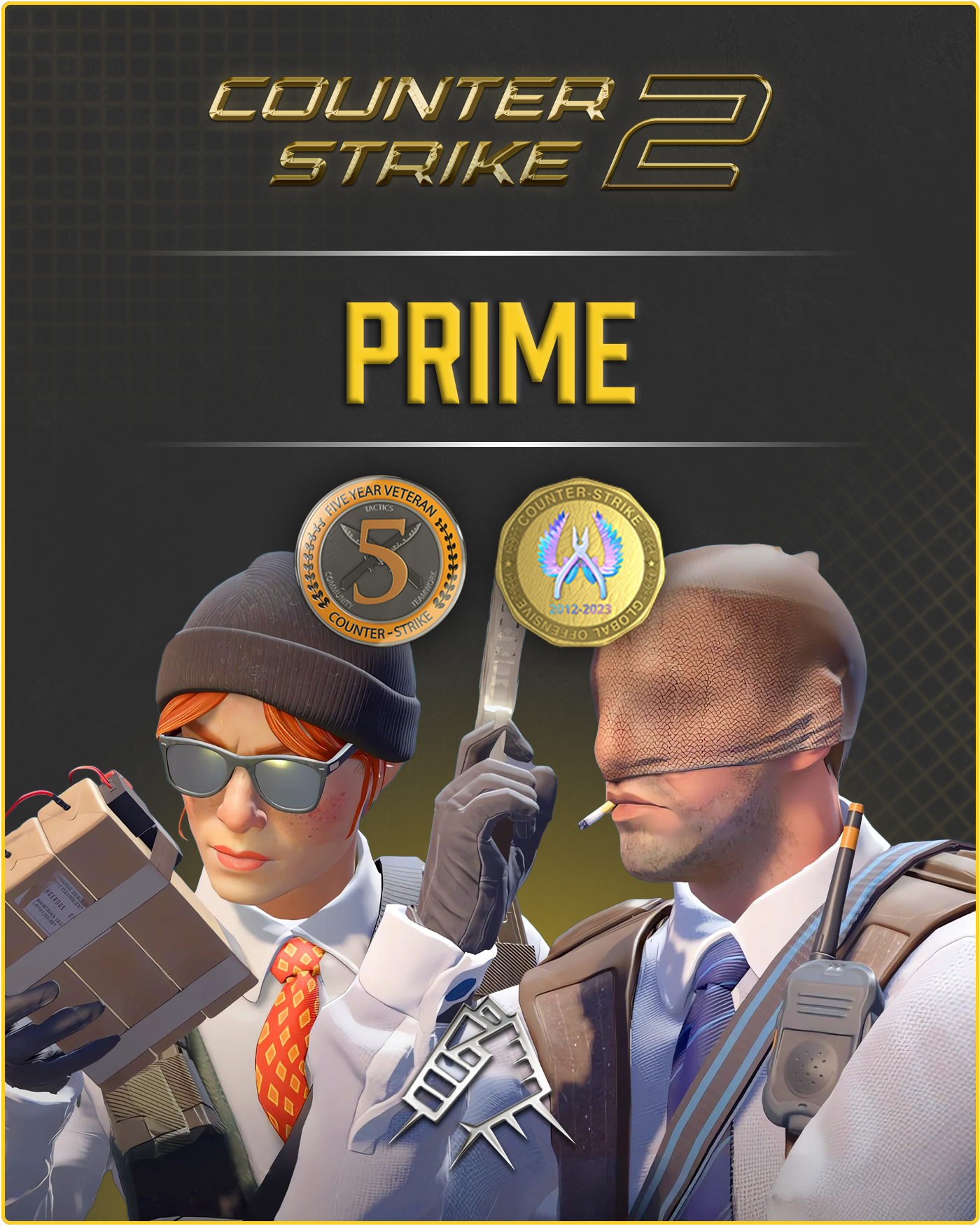 CS2 Prime Account + Global Offensive Badge + 5 Year Veteran Coin + 500 Commends + 50 Comments